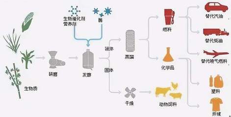 “生物基材料”是什么?不妨了解一下,真环保的新材料