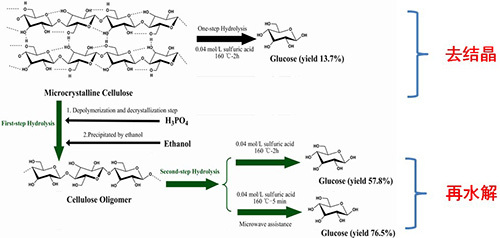 宁波材料所在纤维素水解变糖技术方面取得新进展