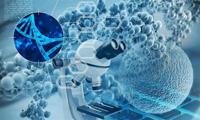 生物基材料及中间体研发商利夫生物完成近两亿元B轮融资