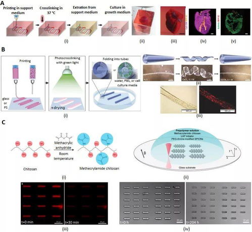 刺激响应生物材料在生物3d打印技术的应用